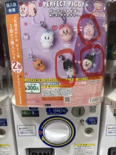 PERFECT PIGGY めじるしアクセサリー