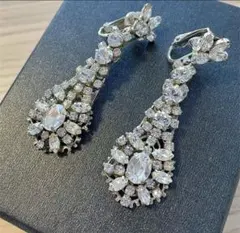 2026年最新】ハツコエンドウ イヤリングの人気アイテム - メルカリ