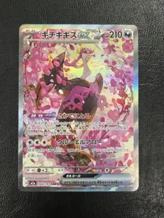 キチキギスex sar