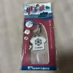 Item thumbnail for item ebd1d4cd-43dd-43f9-8db2-8880918c98f4