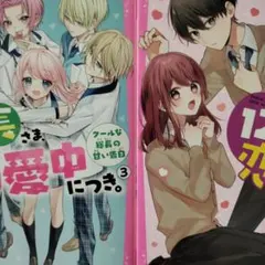 送料として　専用