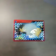 ポケットモンスター アニメ コレクション 結晶塔の帝王 エンテイvs