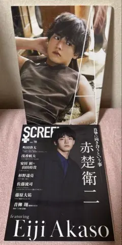 江口寿史展 EGUCHI in ASIA 告知ポスター 希少 A4✖️2枚 - メルカリ