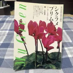 シクラメンプリムラ My Green