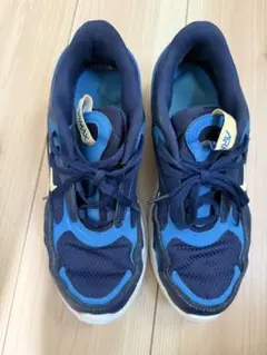 NIKE スニーカー　25cm