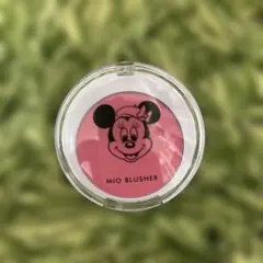 ウィッチズポーチ ピンク　チークカラー　DISNEY STORE 限定品