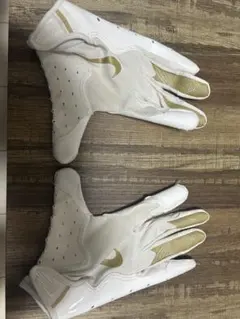 Item thumbnail for item 9e1d83e1-b0c9-47e9-9cce-71c0138e750e