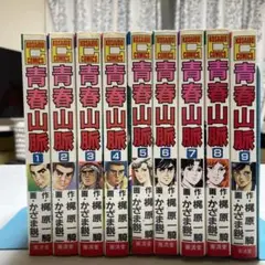 青春山脈 全巻セット