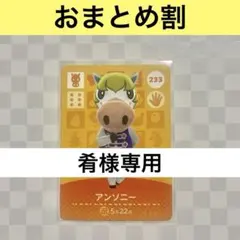 肴様 リクエスト 2点 まとめ商品