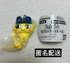 たまごっち カラフルマルチチャーム まめっち ガチャガチャ