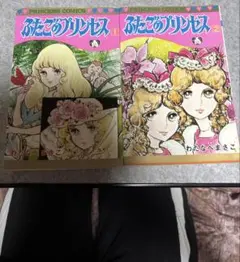 わたなべまさこ　ふたごのプリンセス 1・2 セット　送料込