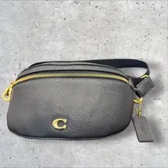 未使用保管品 COACHベサニー BETHANY BELT BAG CH813 - メルカリ