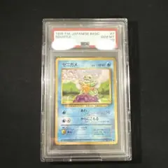 2026年最新】ゼニガメ eカード psa10の人気アイテム - メルカリ