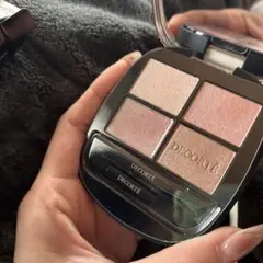 コスメデコルテ　スキンシャドウ10