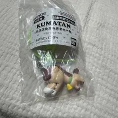 KUMATAN カラフルマルチチャーム ガチャ