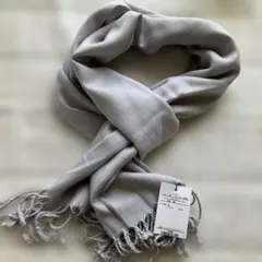 Item thumbnail for item 208b63ef-ec3e-46ed-ac2d-da3ecae45aec