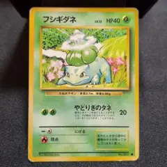 フシギダネ 旧裏 初版 マークなし 第1弾拡張パック フシギダネ ○ 第1弾拡張パック 旧裏 - メルカリ