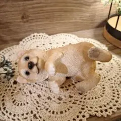 【未使用】HOTANT 柴犬の赤ちゃん　置物 オブジェ　フィギュア