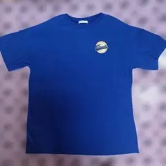 INGNI 半袖シャツ Mサイズ