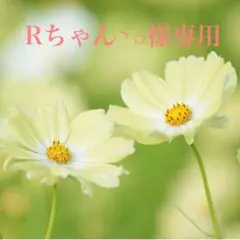 Rちゃん◝✩様専用