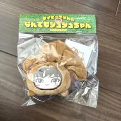 木村慧人 メンプロ ケイビーちゃん シュシュ