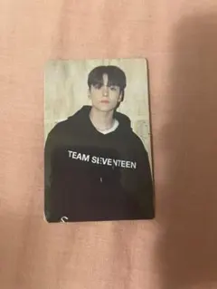 seventeen セブチ carat land 2022 バーノン トレカ