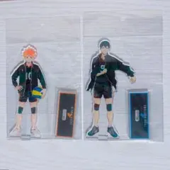 ハイキュー！！ Ani-Art BIG アクリルスタンド 日向翔陽　烏野 影山