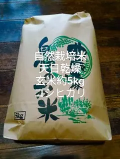 コシヒカリ　玄米約5kg　自然栽培　天日乾燥のサムネイル
