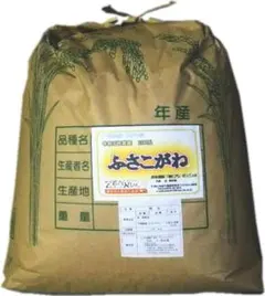 令和7年産 千葉県産こしひかり25㎏（玄米） - メルカリ