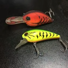 すがっしー様専用です。