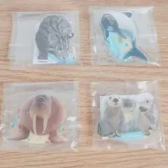 2026年最新】鳥羽水族館 70周年の人気アイテム - メルカリ