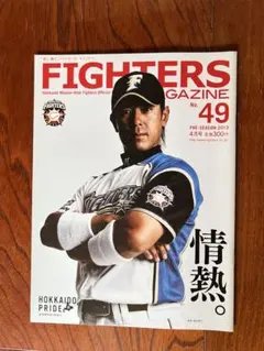 希少】 大谷翔平 2013年 ルーキー 日本ハム 旭川開催 チケット 6月
