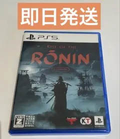 PS5 Rise of the Ronin Z version