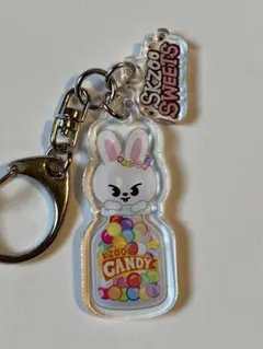 Stray Kids SKZOO アクリルキーホルダー リービット