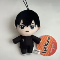 ハイキュー モーリーファンタジー マスコット ぬいぐるみ 影山飛雄