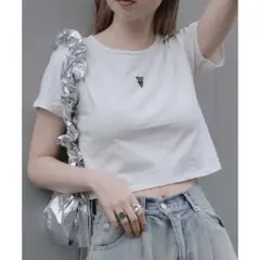 【限定値下げ】RAY CASSIN レイカズン　刺繍コンパクトT ホワイトのサムネイル