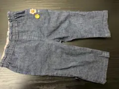 Item thumbnail for item 74dd346c-9011-4034-8d5f-ee8ab32daaa0