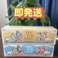ラブブ PIN FOR LOVEアソートボックス2Box セット
