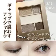 【Visse 】アイシャドウ、眉マスカラセット