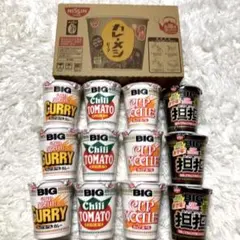カップヌードルBIG 4種 12個、カレーメシ　ビーフ味6個　計18個セット♡