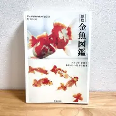 金魚図鑑　かわいい金魚のあたらしい見方と提案　らんちゅう　金魚　本