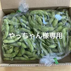 風味豊かな秘伝豆ーやっちゃん様専用450g✖️2A品