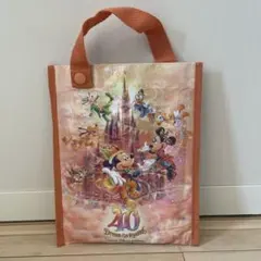 ディズニー40周年 レジャーシート　東京ディズニーランドのサムネイル