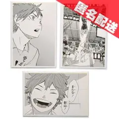 ハイキュー10thクロニクル 日向翔陽 思い出スナップ風フォトカード 匿名配送