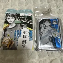 ハイキュー　ドミノ風アクリルキーホルダー　影山