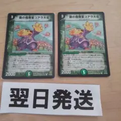 旧枠初期版ホイル 森の指揮官 コアラ大佐 2枚
