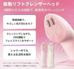 Medicube ブースタープロミニプラス専用ヘッド 2種セットのサムネイル