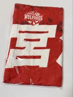 宮浦健人 スポーツ選手