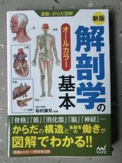 解剖学の基本 : オールカラー