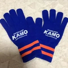 Item thumbnail for item 17ba84f1-ffa6-43f4-bd43-3d72fa91260d